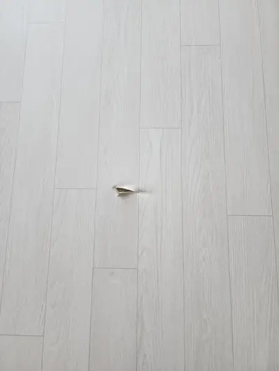 평택 안성 장판 찍힘 찢어짐 부분 수리 보수 업체 비용 가격 금액 현장 사진